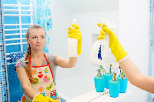 Custom House carpet cleaners introducing professional carpet care services