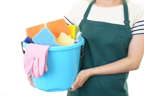 Professional steam carpet cleaning equipment in a Custom House home