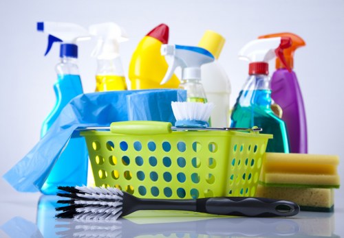Mattress cleaning service in Custom House with professional deep cleaning equipment