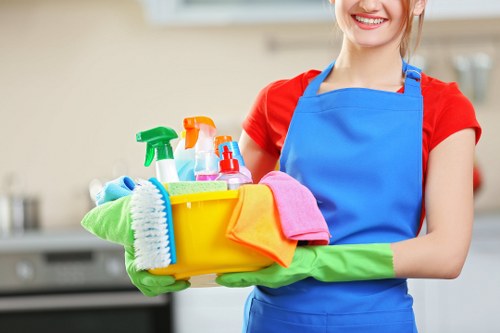 DIY stain removal supplies for Custom House households