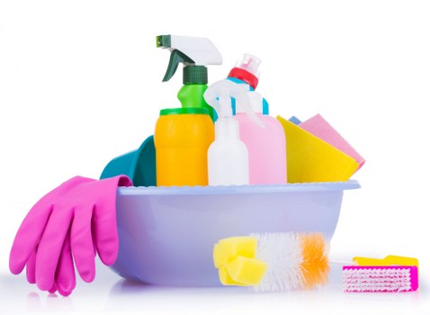 Illustration of SSL encryption protecting Custom House Carpet Cleaners payments