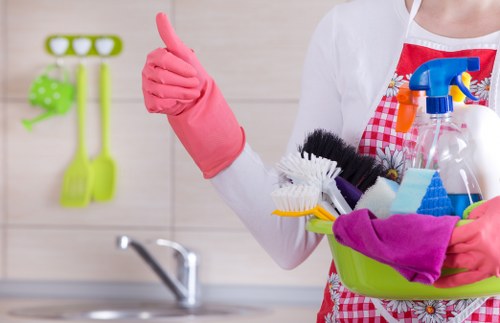 Cleaning pet odour from upholstery in Custom House