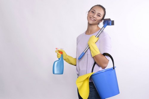 Custom House carpet cleaning service explaining pricing for a home or business