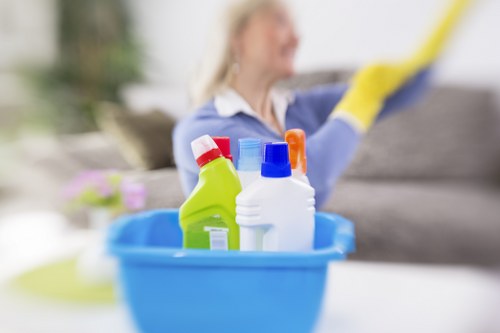Responsible Custom House carpet cleaning services with human rights compliance