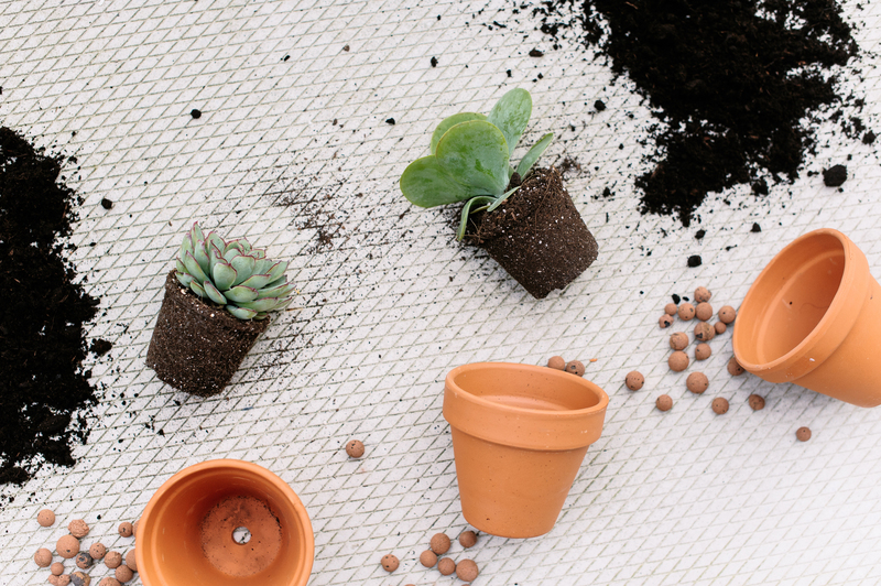 deep cleaning cleaning services